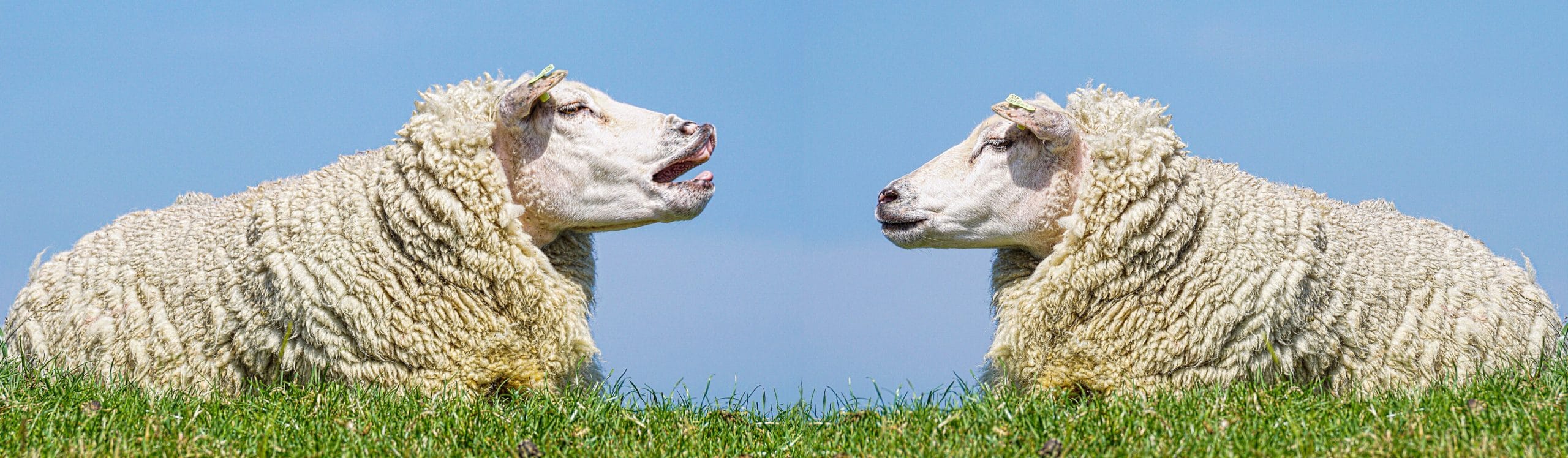 Übungen zum Aufwärmen vor dem Sprechen